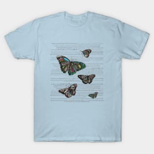 Butterflies. T-Shirt